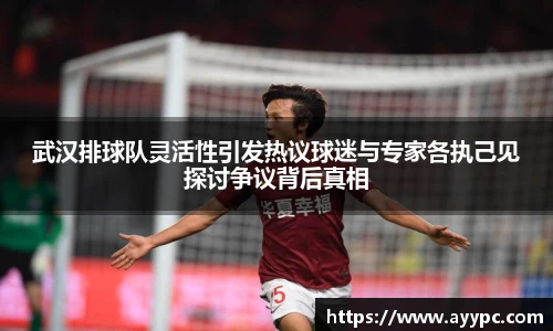 武汉排球队灵活性引发热议球迷与专家各执己见探讨争议背后真相