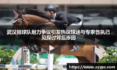 武汉排球队耐力争议引发热议球迷与专家各执己见探讨背后原因
